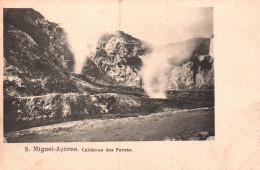 Sao Miguel - Caldeiras Das Furnas - Açores - Portugal - Açores