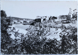 Carte Postale : 30 : QUISSAC : Le Vidourle Et Le Pont, Timbre En 1961 - Quissac