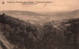 Borgoumont La Gleize (Sanatorium Provincial Pour Hommes) - Panorama Vu Du Sanatorium - Stoumont