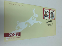 Philippines Stamp FDC New Year Rabbit Bunny Cover Set - Haltérophilie