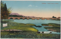 Tudela - Puente Sobre Et Ebro  - (F.9639) - Navarra (Pamplona)