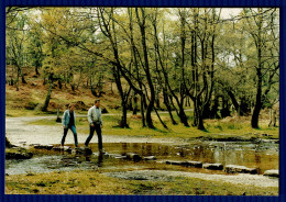 Ref 1618 -  Postcard - The Stepping Stones - Sherbrook Valley Cannock Chase Staffordshire - Altri & Non Classificati