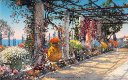 FRANCE - 06 - CANNES - Pergola Fleurie - Carte Postale Ancienne - Cannes