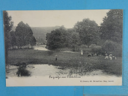 Paysage Sur L'Amblève - Ambleve - Amel