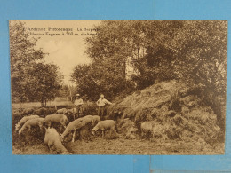 L'Ardenne Pittoresque Le Bergerie Des Hautes Fagnes à 560 M. D'altitude - Campesinos