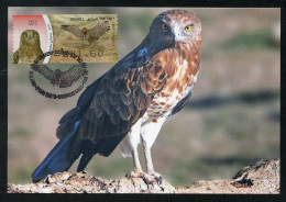 ISRAEL (2009) - Carte Maximum Card ATM - Circaetus Gallicus, Short-toed Eagle, Circaète Jean-le-Blanc - Bird, Oiseau - Cartoline Maximum