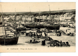 CANCALE TRIAGE DES HUITRES - Cancale