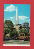 America USA San Francisco Ups And Downs  Animation  Tramway  Voitures D'époque CPM Année 1981  PHOTO Sandor Balatoni - San Francisco