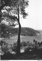 Le Rayol Canadel Sur Mer - Une Calanque - Rayol-Canadel-sur-Mer