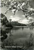 CARMIGNANO  PRATO  Panorama Col Lago - Prato