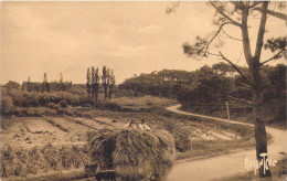 FRANCE - 85 - Tranche Sur Mer - Forêt - Carte Postale Ancienne - Autres & Non Classés