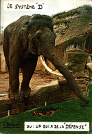 L0 - Eléphant - Le Système D Ou : Un Qui A De La Défense - Photo Et Légende Louis Buffier - Éléphants