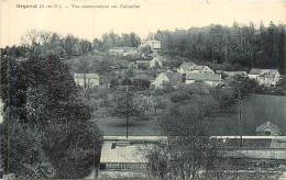 ORGEVAL Vue Panoramique Sur Colombet - Orgeval