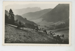 LE CHATELARD - Un Pâturage (vaches) - Le Chatelard