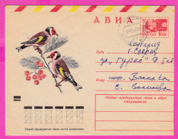 296431 / Russia 1974 - 6 K. (Airplane TV Tower ) Bird Goldfinch (Carduelis Carduelis) Moscow - BG , Stationery Cover - Climbing Birds