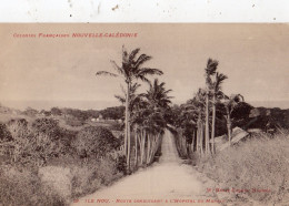 NOUVELLE-CALEDONIE ILE NOU ROUTE CONDUISANT A L'HOPITAL DU MARAIS - Nouvelle Calédonie