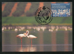 ESPAÑA (2023) Carte Maximum Card - Emisión Conjunta Joint Issue China Flamingo Flamenco Flamant Laguna Fuente De Piedra - Tarjetas Máxima