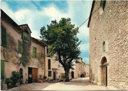 83  Montauroux  -  L'eglise Et Le Prieure - Montauroux