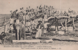 MISSIONS DES PERES DU SAINT ESPRIT / CONGO PORTUGAIS / TOUT LE MONDE TRAVAILLE SURTOUT LES ELEPHANTS / RARE - Sonstige & Ohne Zuordnung