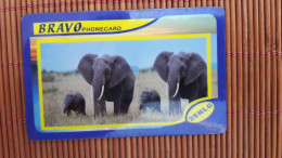 Elephants Phonecard Used  Rare - Oerwoud
