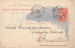 CARTE POSTALE 1866  TO BRUXELLES  80 REIS          2 SCANS - Brieven En Documenten