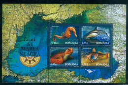 2007 Sea Tortoise/Turtle,Seahorse,Tub Gurnard,Gelfish,Black Sea Fauna,Romania,Bl.393,VFU - Used Stamps