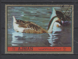 Ajman Used ; Gans Goose Oie Ganso Vogel Bird Ave Oiseau - Ganzen