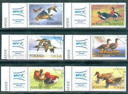 2007 Wild Ducks,Geese,Entenvögel,Gans,Birds,Canard,garganey,red-crested Pochard,Romania,Mi.6213,TAB/Left,VFU - Gebraucht