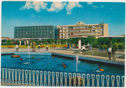 KUWAIT Municipality Gardens 1976 Nice Stamp OLD POSTCARD  RPPC PC PPC - Kuwait