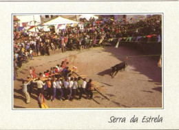 Sabugal - Capeia Arraiana / Touros = Toiros = Bulls = Toros / Taureaux / Serra Da Estrela - Guarda