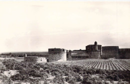 FRANCE - 66 - SALSES - Le Fort - Carte Postale Ancienne - Salses