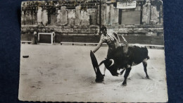 CPSM CORRIDA DE TOROS  TAUREAU PASSE EN REDONDO TORERO TOREADOR 1953 3E ESTEL 2 EME CHOIX - Stiere