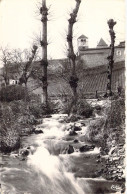 FRANCE - 71 - PIERRECLOS - Chute De La Petite Grosne - Carte Postale Ancienne - Sonstige & Ohne Zuordnung