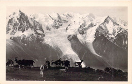 FRANCE - 74 - CHAMONIX - Le Massif Du Mont Blanc - Vu De Plan Praz - Edition GIL - Carte Postale Ancienne - Chamonix-Mont-Blanc