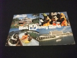 Delcampe - WALT DISNEY WORLD GOOFY MICKEY PLUTO  ETC. - Disneyworld