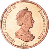 Monnaie, NIGHTINGALE ISLAND, Penny, 2011, Île De Nightingale, SPL, Cuivre - Santa Helena