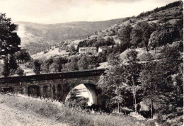 FRANCE - 88 - BUSSANG - Pont Du Séchenat - Editions S L - Carte Postale Ancienne - Bussang