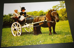 Paarden - Horses - Pferde - Cheveaux - Paard - Kinderen In Friese Klederdracht - Ponywagen - Chevaux