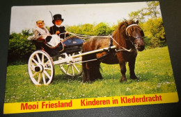 Paarden - Horses - Pferde - Cheveaux - Paard - Kinderen In Friese Klederdracht - Ponywagen - Chevaux