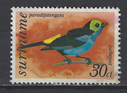 Suriname Used ; Paradijsvogel Bird Of Paradise Oiseau De Paradis Ave Del Paraiso Vogel Bird Ave Oiseau - Perroquets & Tropicaux