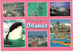 Orlando : Parc Aquatique  - Orlando