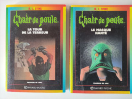 Le Masque Hanté & La Tour De La Terreur - Collection "Chair De Poule" - Par R. L. STINE - Bibliotheque Rose