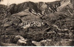 ROQUEBILLIERE  Nouveau Village  1957 - Roquebilliere