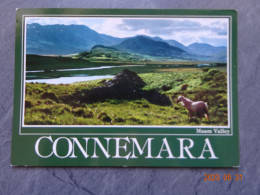 CONNEMARA - Galway