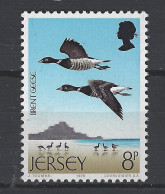 Jersey MNH ; Brandgans Gans Goose Oie Ganso Vogel Bird Ave Oiseau - Gänsevögel