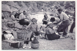 CPM - MARSEILLE (B Du R) - Pique-nique Dans Les Calanques - Années 50 - Quartiers Sud, Mazargues, Bonneveine, Pointe Rouge, Calanques