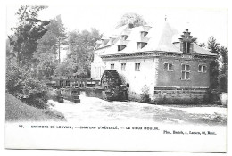 CPA Louvain, Château D'Héverlé, Le Vieux Moulin - Leuven