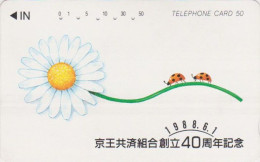 Télécarte JAPON / 110-011 - ANIMAL - COCCINELLE  Sur Fleur Marguerite - LADYBIRD JAPAN Phonecard - MARIENKÄFER - 71 - Coccinelle