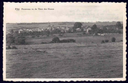 Delcampe - +++ CPA - FILOT - Hamoir - Panorama Vu Du Thier Des Herres  // - Hamoir