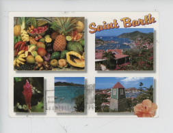 Archipel De La Guadeloupe : Saint Barth (barthelemy) Multivues Fruits Fleurs Aérienne.. Philippe Poux Photographe - Saint Barthelemy